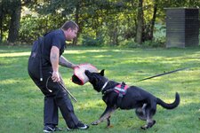 IMG_0243.jpg