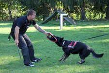 IMG_0249.jpg