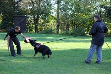 IMG_0254.jpg