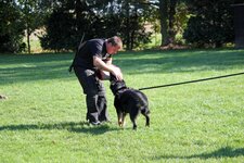 IMG_0273.jpg
